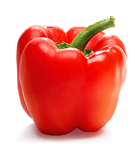 Peppers - Coir Substrates for Above-Ground