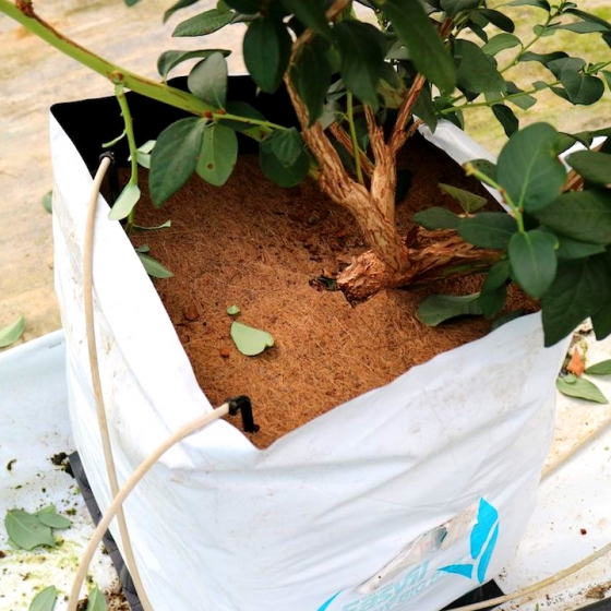 weedmat in easyfil bag