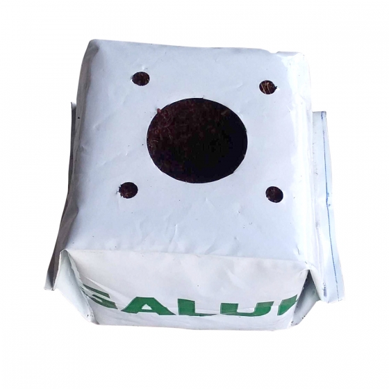 Coir seedling cube