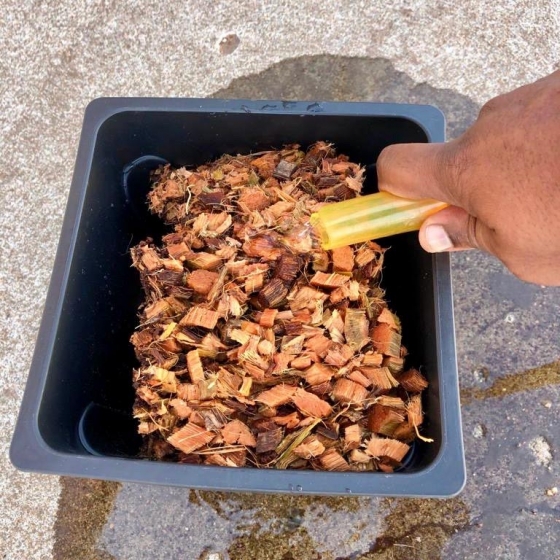 Expanding Coir Pot Filler