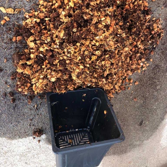 Coir Pot Filler