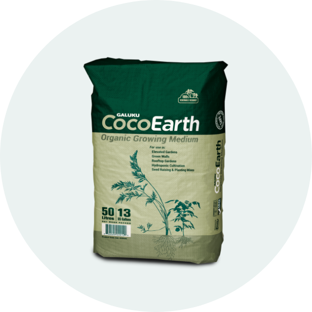 bag of cocoearth