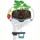 Plantlogic Strawberry Slab System