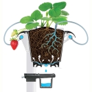 Plantlogic Strawberry Pot System