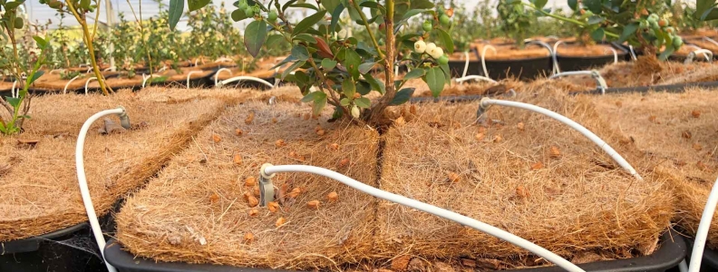 Provide better growing conditions for your crops with weed mats Provide better growing conditions for your crops with weed mats